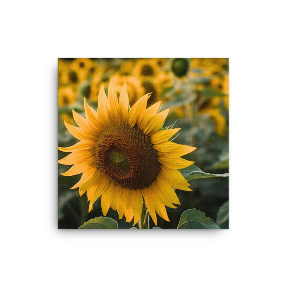 Sunflowers in the Sun canvas - Posterfy.AI