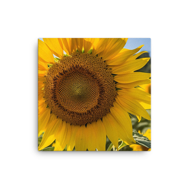 Sunflowers in the Sun canvas - Posterfy.AI