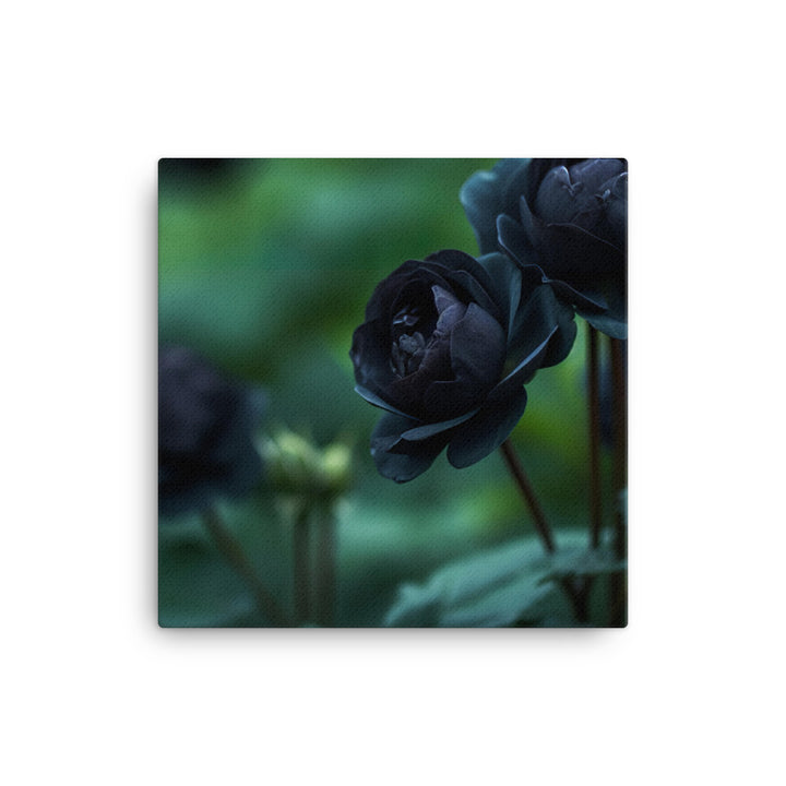 Mysterious Black Roses canvas - Posterfy.AI