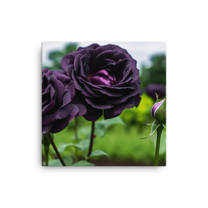 Mysterious Black Roses canvas - Posterfy.AI