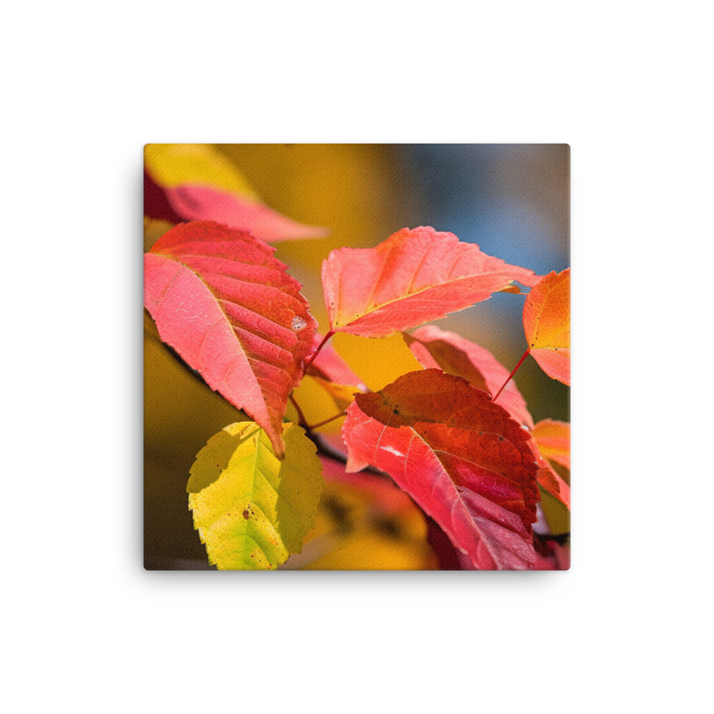 Vibrant Fall Foliage canvas - Posterfy.AI