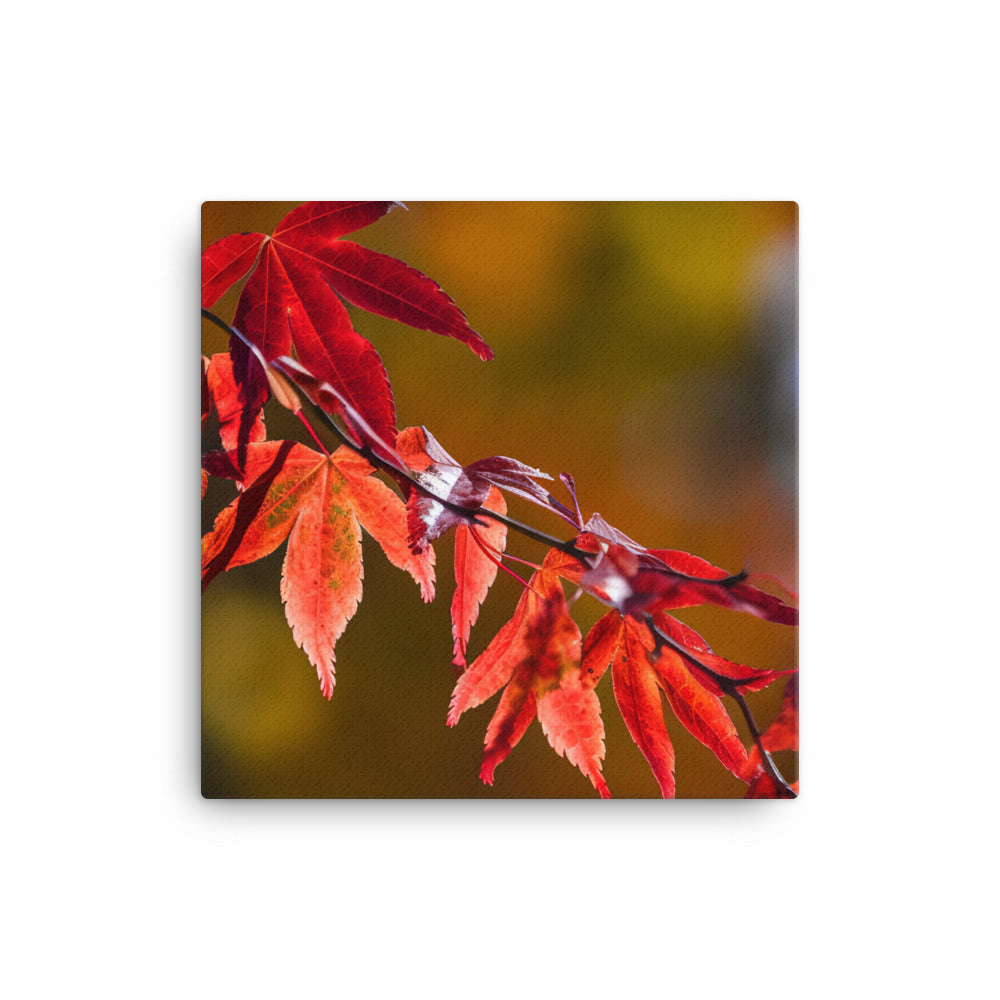 Vibrant Fall Foliage canvas - Posterfy.AI