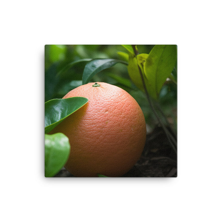 Grapefruit and Greens canvas - Posterfy.AI