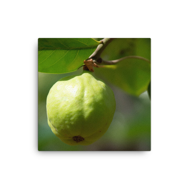 Guava on the Tree canvas - Posterfy.AI