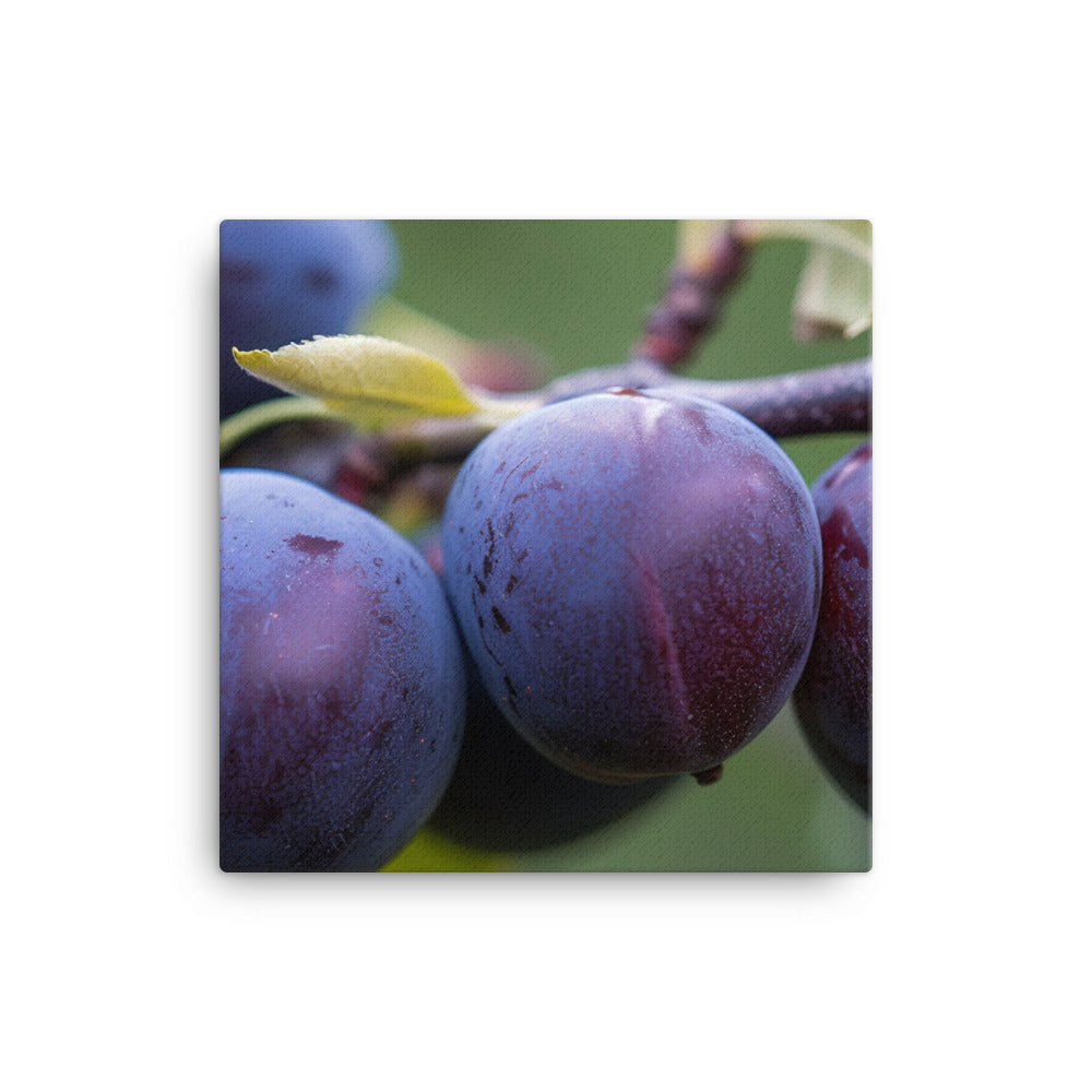 Plums on a Tree canvas - Posterfy.AI