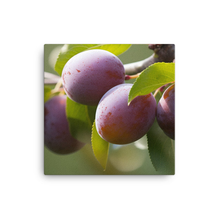 Plums on a Tree canvas - Posterfy.AI