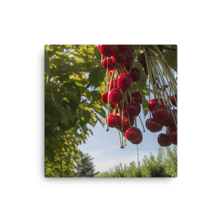 Cherry Picking Season canvas - Posterfy.AI