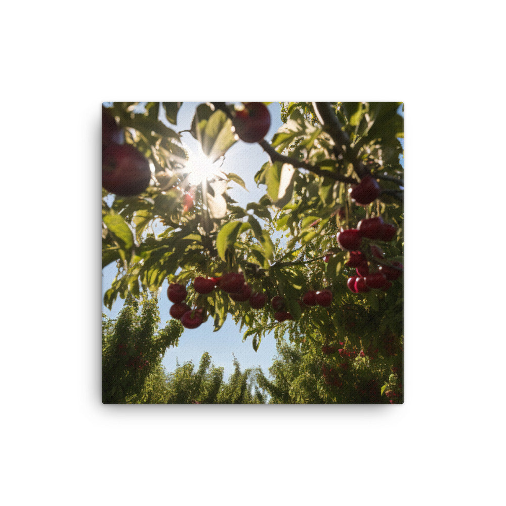 Cherry Picking Season canvas - Posterfy.AI