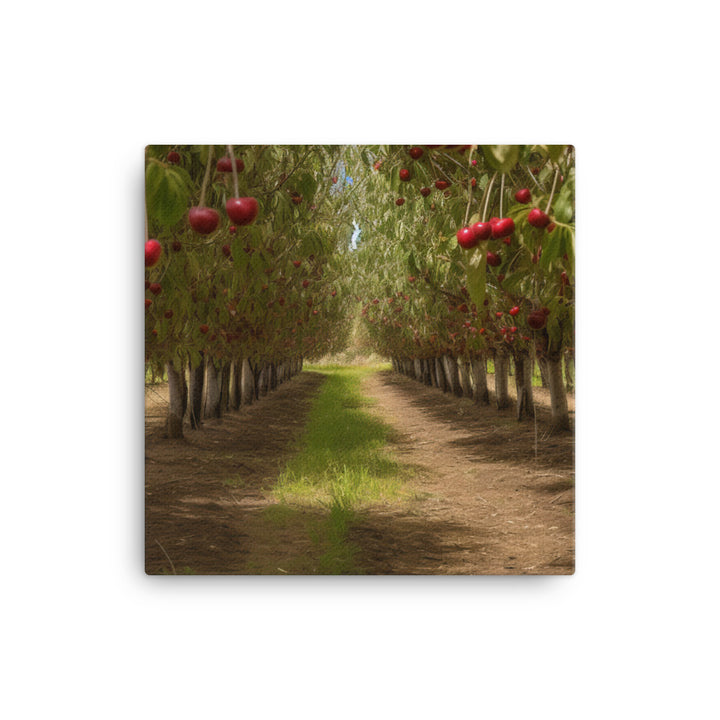 Cherry Picking Season canvas - Posterfy.AI