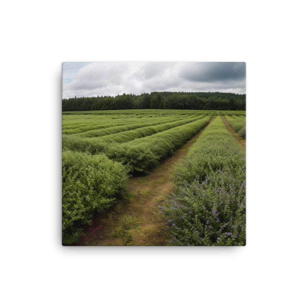 Blueberry Fields Forever canvas - Posterfy.AI