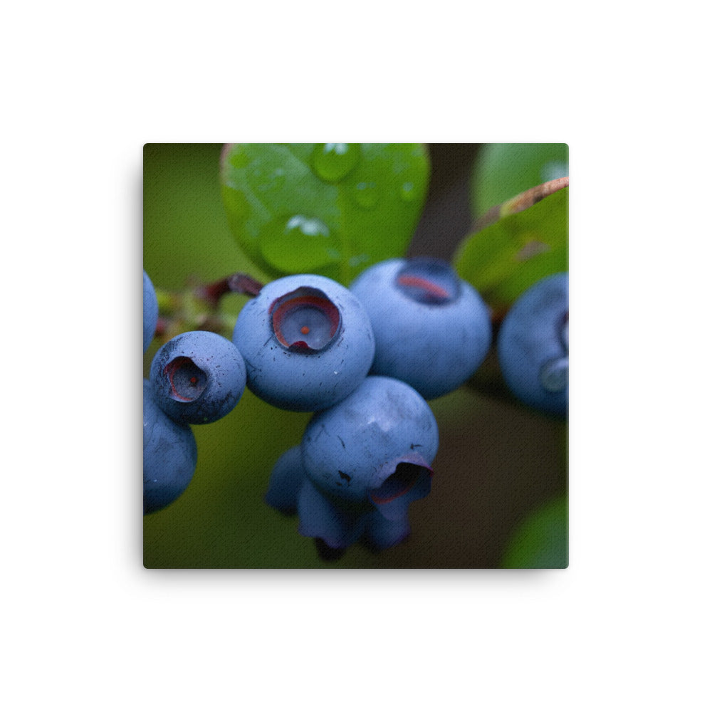 Sweet and Juicy Blueberries canvas - Posterfy.AI