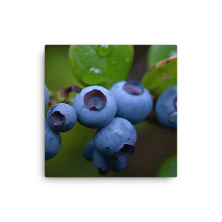 Sweet and Juicy Blueberries canvas - Posterfy.AI