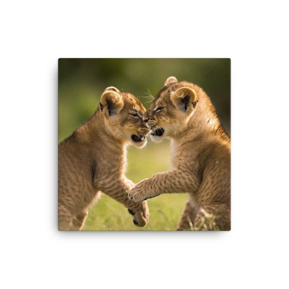 Lion Cubs Playtime canvas - Posterfy.AI