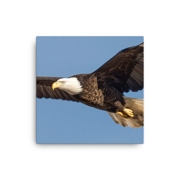 Majestic Bald Eagle Soaring in the Sky canvas - Posterfy.AI