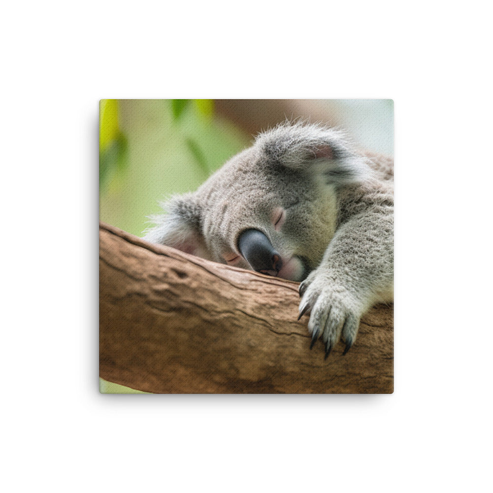 Koala Taking a Nap on a Tree Branch canvas - Posterfy.AI