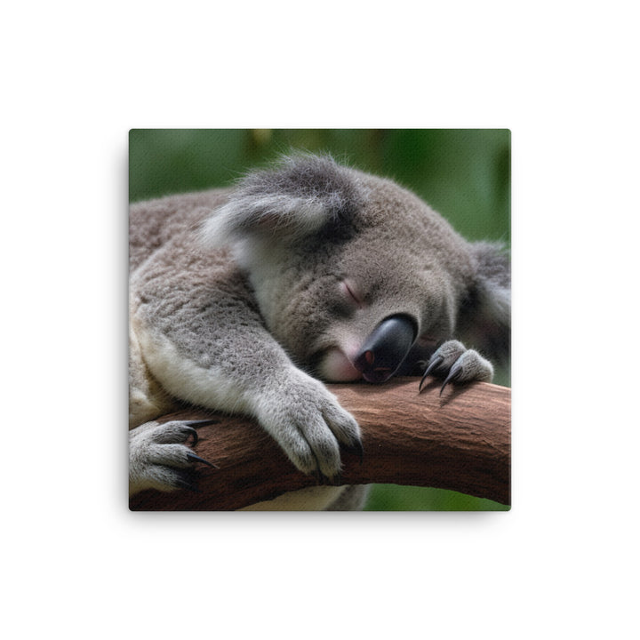 Koala Taking a Nap on a Tree Branch canvas - Posterfy.AI