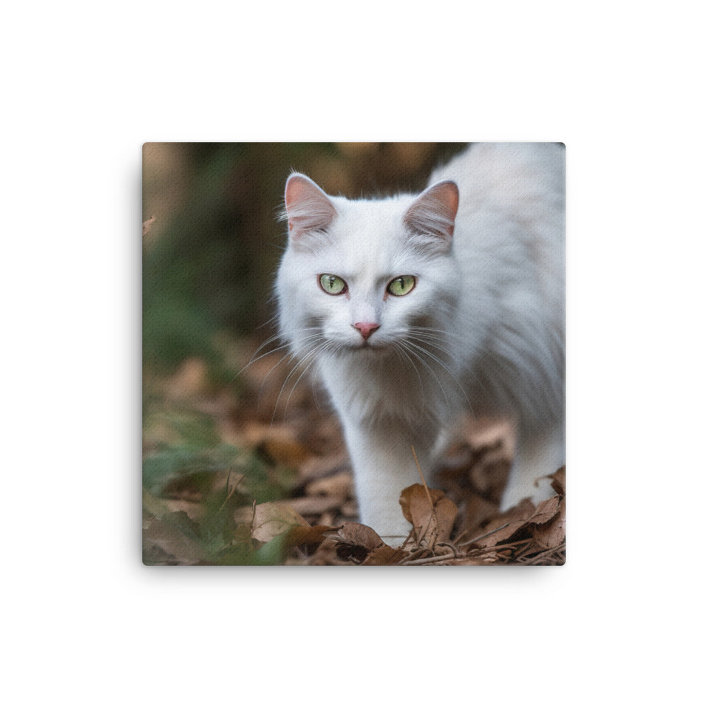 Curious Turkish Angora exploring its surroundings canvas - Posterfy.AI