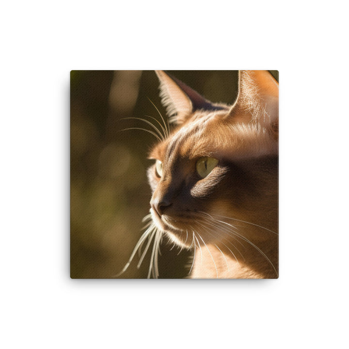 Beautiful Burmese in the Sun canvas - Posterfy.AI