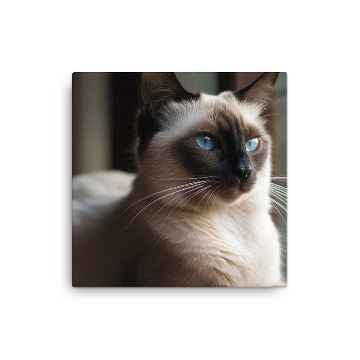 Graceful Balinese Cat Posing on the Window Sill canvas - Posterfy.AI