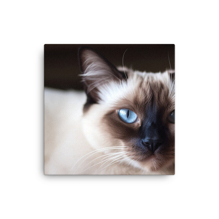 Gorgeous Balinese Cat Relaxing on the Couch canvas - Posterfy.AI