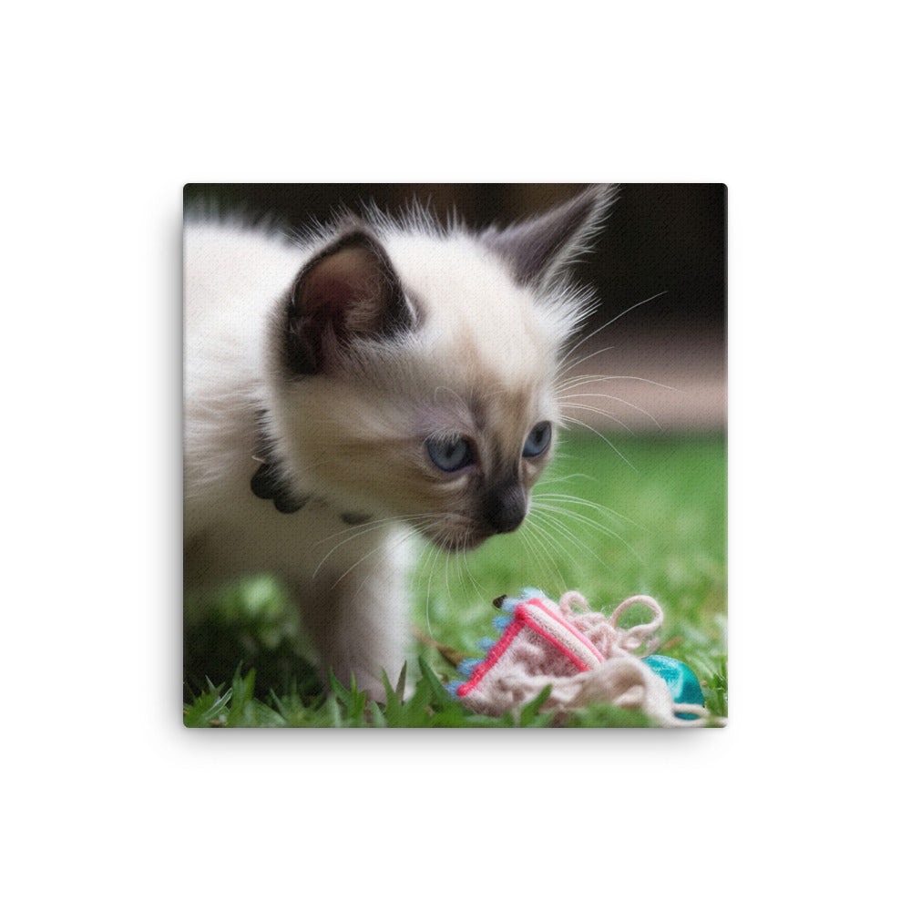 Adorable Balinese Kitten Playing with Toy canvas - Posterfy.AI