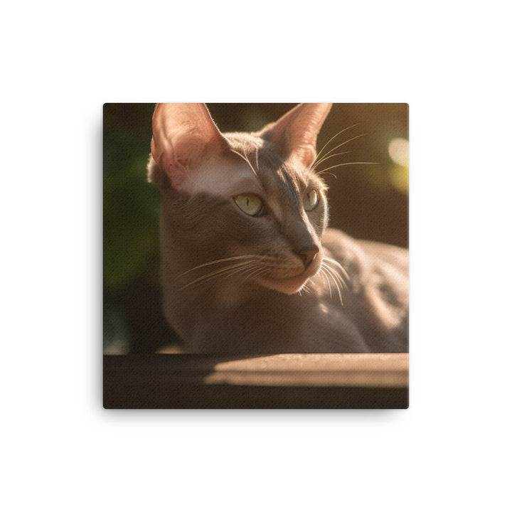 Curious Oriental Shorthair in Sunlight canvas - Posterfy.AI