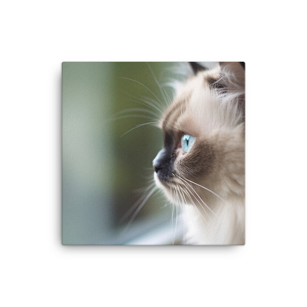 Himalayan kitten gazing out the window canvas - Posterfy.AI