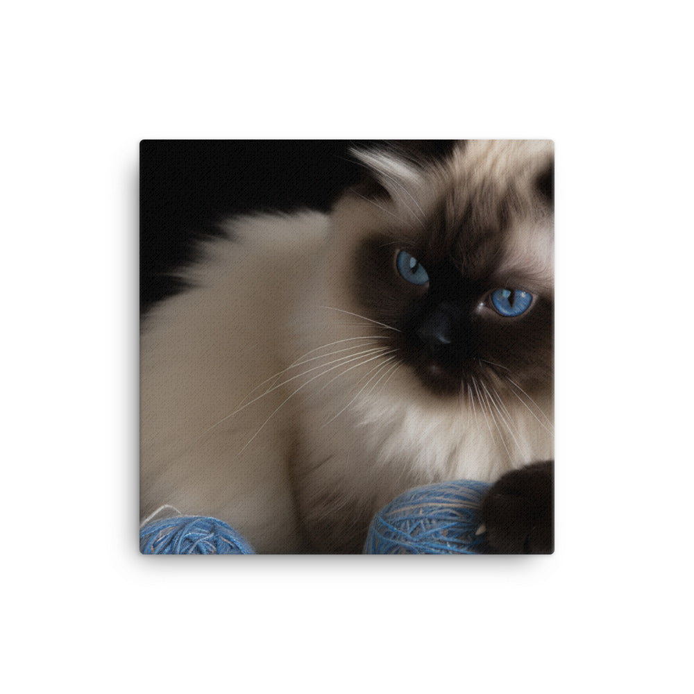 Himalayan cat playing with a ball of yarn canvas - Posterfy.AI