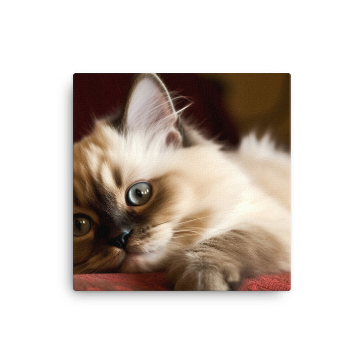 Adorable Himalayan Kitten resting on sofa canvas - Posterfy.AI