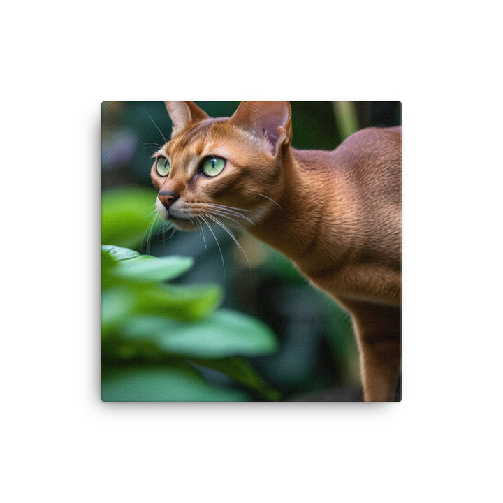 Curious Abyssinian exploring the garden canvas - Posterfy.AI