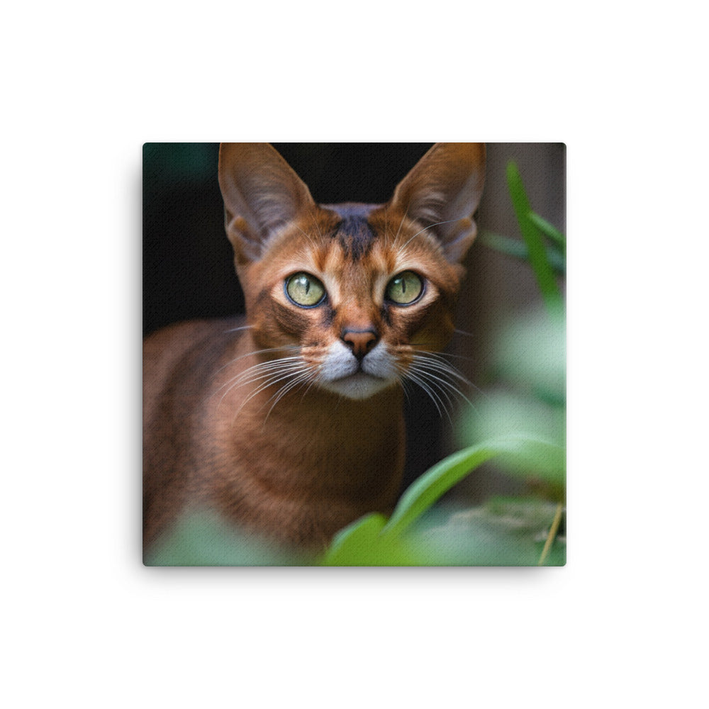 Curious Abyssinian exploring the garden canvas - Posterfy.AI