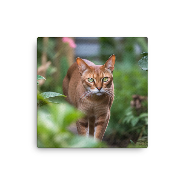 Curious Abyssinian exploring the garden canvas - Posterfy.AI