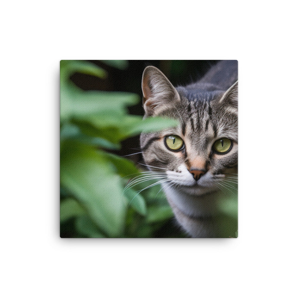 Curious American Shorthair exploring the garden canvas - Posterfy.AI