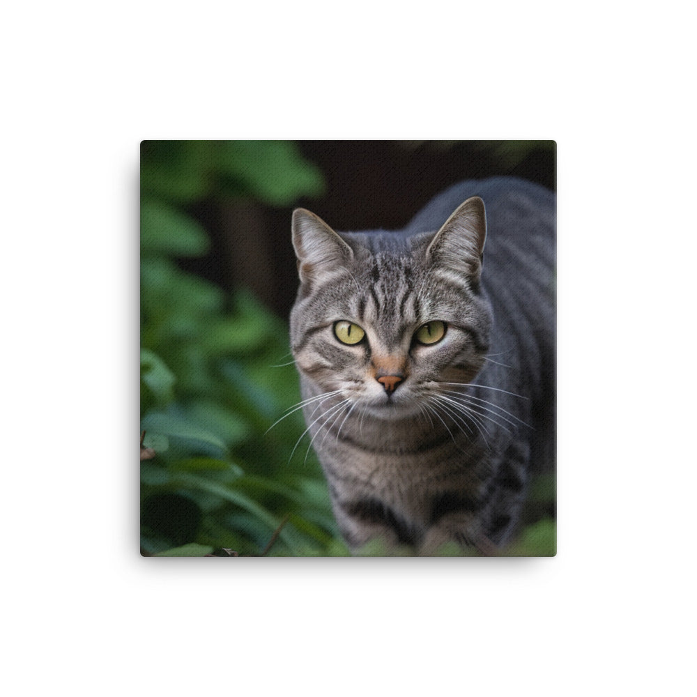 Curious American Shorthair exploring the garden canvas - Posterfy.AI