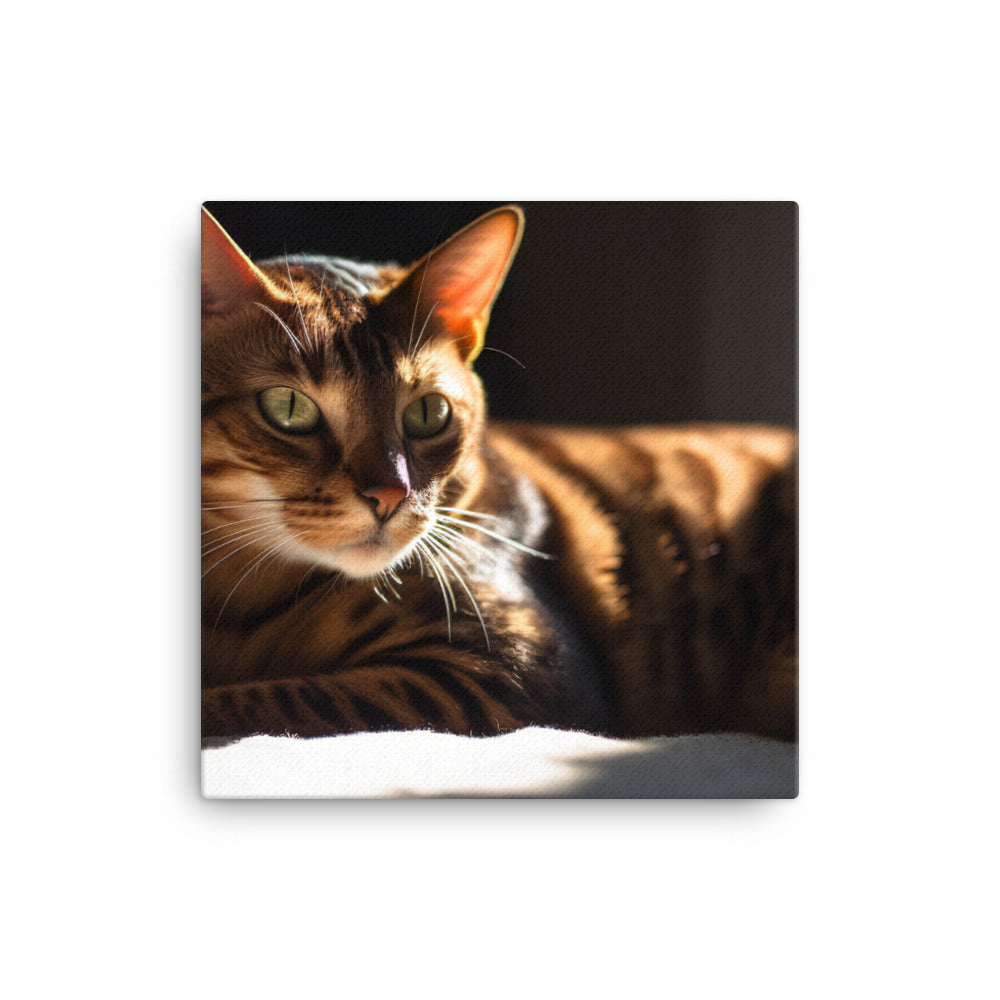 Majestic Bengal Cat Lounging in Sunbeam canvas - Posterfy.AI