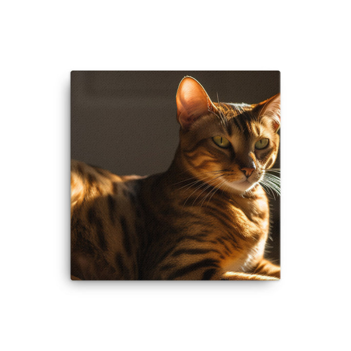 Majestic Bengal Cat Lounging in Sunbeam canvas - Posterfy.AI