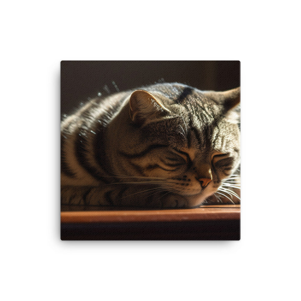 Scottish Fold cat basking in a sunbeam canvas - Posterfy.AI