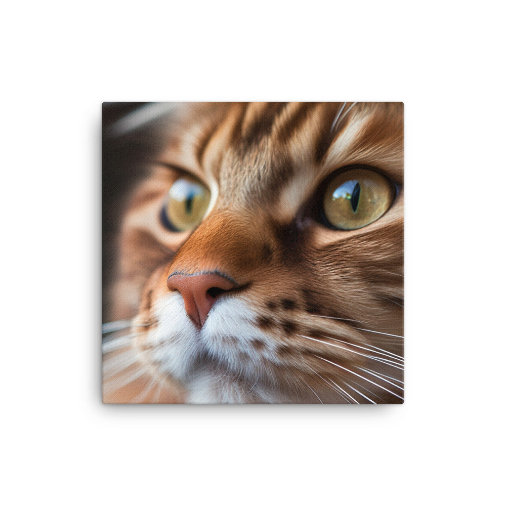 Maine Coon with a Close-Up shot canvas - Posterfy.AI