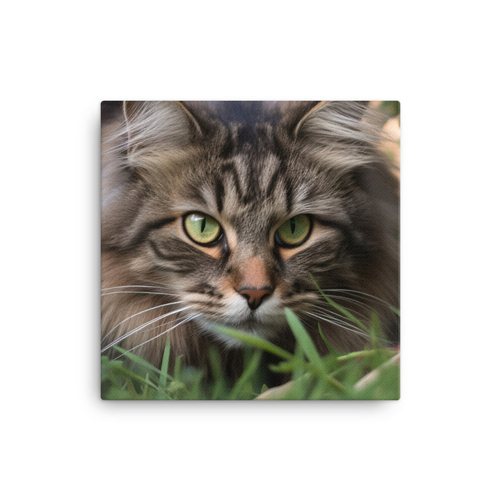 Maine Coon with a candid shot canvas - Posterfy.AI