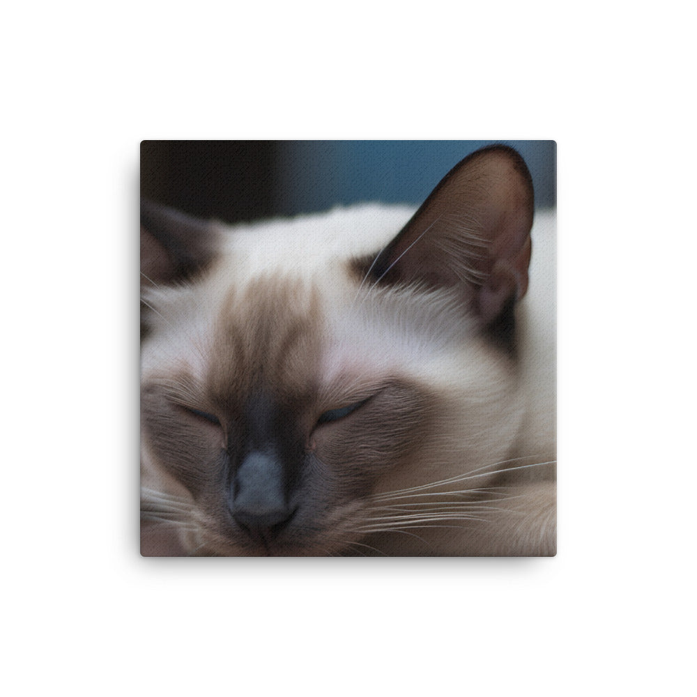 Sleepy Siamese Taking a Nap canvas - Posterfy.AI