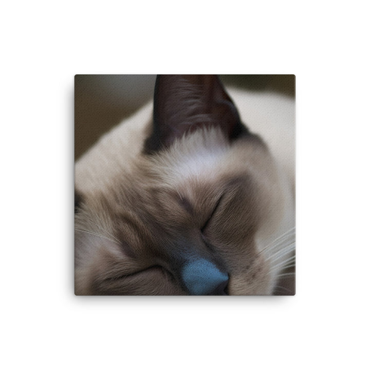 Sleepy Siamese Taking a Nap canvas - Posterfy.AI