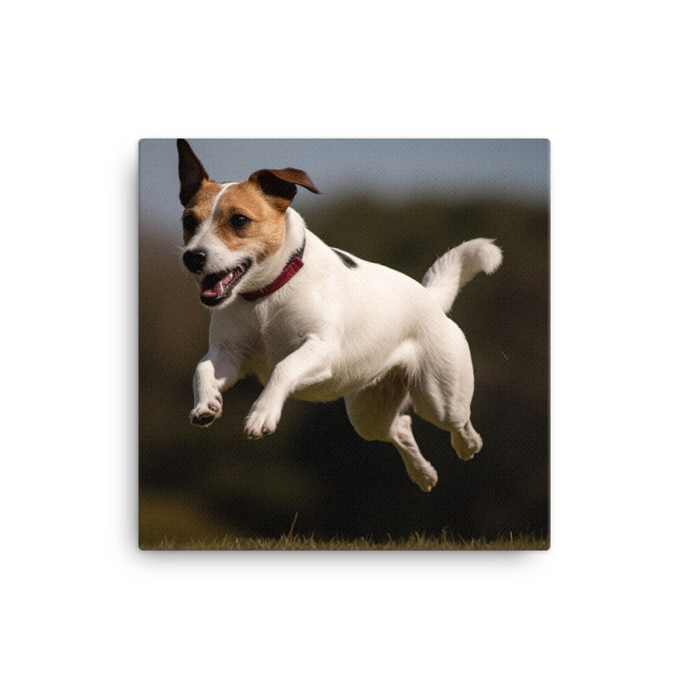 Spirited Jack Russell Terrier at Play canvas - Posterfy.AI