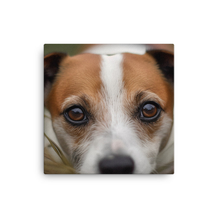 Jack Russell Terriers Inquisitive Stare canvas - Posterfy.AI