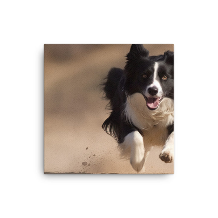 Energetic Border Collie in Action canvas - Posterfy.AI