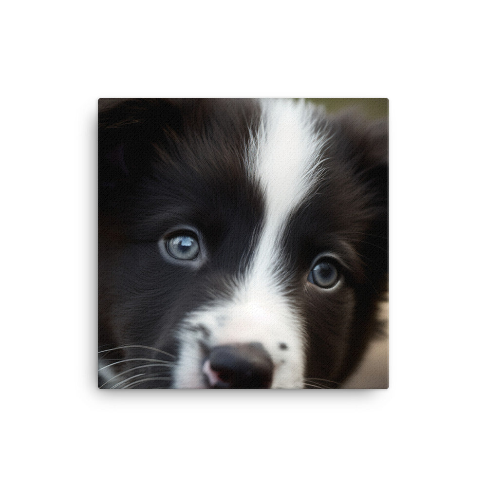 Adorable Border Collie Puppy canvas - Posterfy.AI