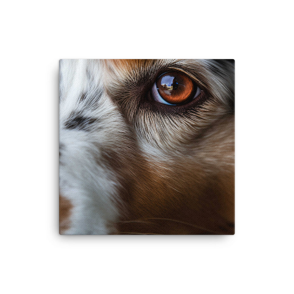 Ruggedly handsome: Australian Shepherd canvas - Posterfy.AI