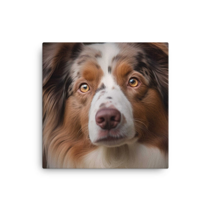 Graceful and loyal: Australian Shepherd canvas - Posterfy.AI