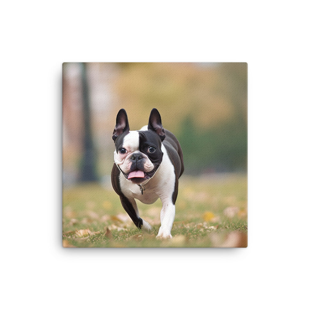 Spunky Boston Terrier in the Park canvas - Posterfy.AI