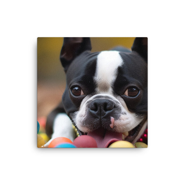 Happy Boston Terrier with Toys canvas - Posterfy.AI