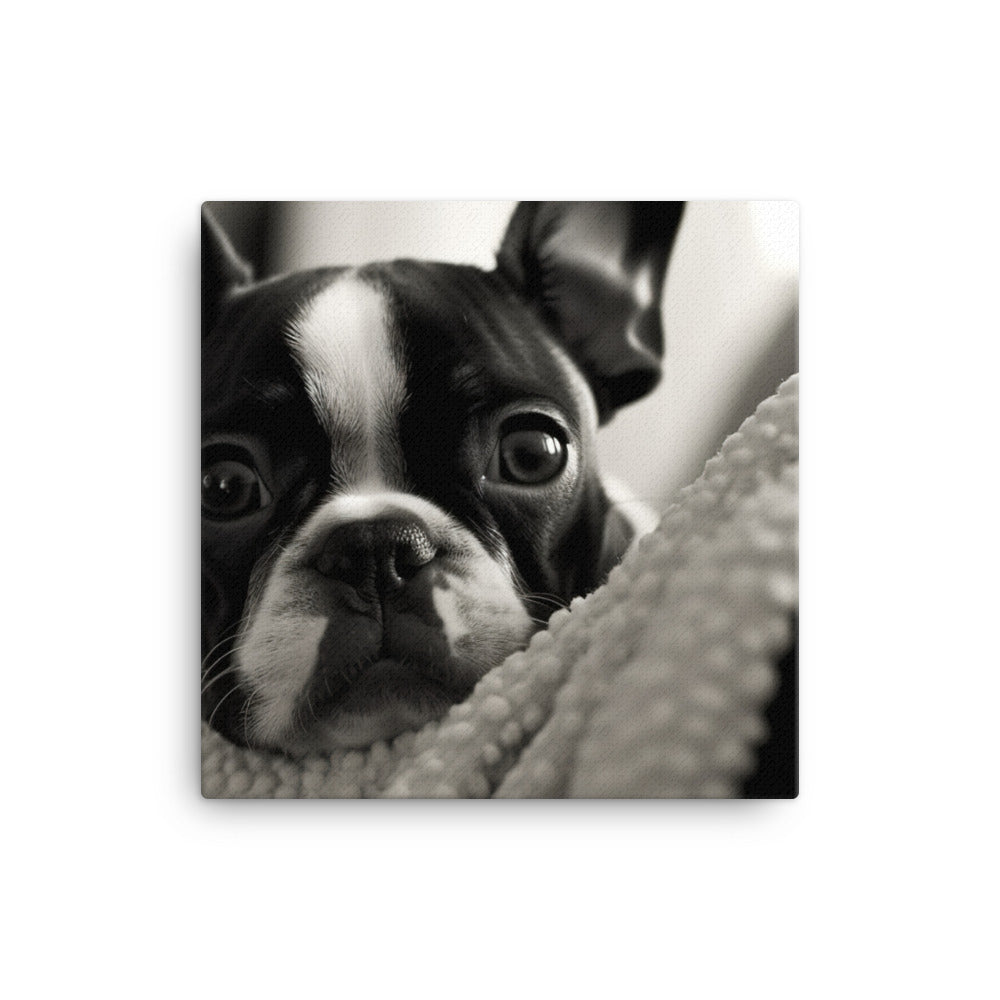 Boston Terrier Pup at Home canvas - Posterfy.AI